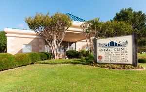 Walnut Creek Animal Clinic, Mansfield, Texas